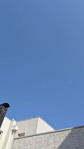 A light-colored airplane is visible in the distant blue sky, traveling from left to right across the frame. The sky is perfectly clear with no clouds. A child's voice can be heard excitedly shouting in the background, possibly pointing out the airplane. The setting is a clear, sunny day, likely in La Florida, Chile, based on the provided context. No text is visible in the video.