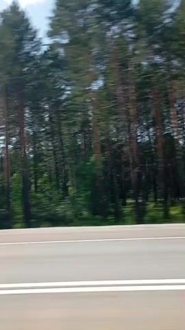 This is a video taken from a moving vehicle, likely a car, traveling along a paved road. The road has white lane markings. To the left of the road is a forest with tall pine trees and other deciduous trees. The sky is blue with scattered white clouds. There is a guardrail visible alongside the road, and in the distance, there is a utility pole. The video captures the scenery passing by, indicating continuous movement. There are no people or animals visible in the frame. The overall environment suggests a rural or natural setting.