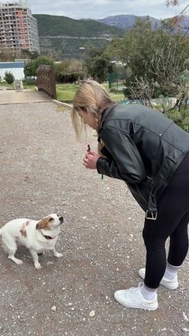 A young blonde woman is giving a small dog a treat in a park. The woman has her hair in pigtails and is wearing a black leather jacket, black leggings, and white sneakers. The dog is mostly white with brown patches and a red collar. It sits on a gravel path looking up at the woman. There is a small wooden bridge and green grass in the background, along with buildings and a mountain range. The woman is bending down to offer the dog a treat. She then stands up and opens a brown paper bag, presumably filled with more treats. She smiles at the camera.