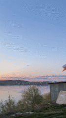 Sunset gathering with drinks near water in Ольховка, Russia