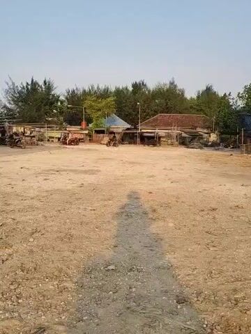 A wide shot shows a dusty, open area with a few structures in the background. The structures appear to be small buildings with wooden frames and tiled roofs, possibly stalls or shelters. Several motorcycles and a small motorized cart are parked or in motion near these structures. Trees, including some with needle-like leaves, line the background, suggesting a coastal or natural environment. The sky is clear and pale, indicating daytime, likely late afternoon due to the long shadow cast in the foreground. The ground is uneven and covered with dirt, gravel, and sparse vegetation. The overall scene conveys a sense of a casual outdoor gathering or market area.