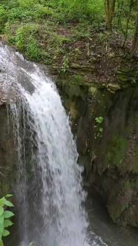 The video showcases a picturesque waterfall and its surrounding natural environment in Bela, Bulgaria. The primary subject is a dynamic waterfall with white, rushing water cascading down a rocky, moss-covered cliff. Below the waterfall, a deep, greenish-blue pool or river collects the flowing water.

The scene is dominated by lush, vibrant green vegetation. Thick vines cling to the rocky walls bordering the water, while trees and other foliage line the top of the cliff and extend into the background. The rock formations exhibit natural layering and are partially covered in moss and earth.

The camera begins by focusing on the waterfall itself, then smoothly pans to the right, revealing the tranquil pool and the dense greenery along the banks. The video captures the movement of the water and the rich textures of the natural landscape.

The time of day appears to be daytime, with natural light illuminating the scene. The weather seems clear, suggesting a pleasant day. The sounds of rushing water are prominent, contributing to the serene and natural ambiance. No people or visible text are present in the video.