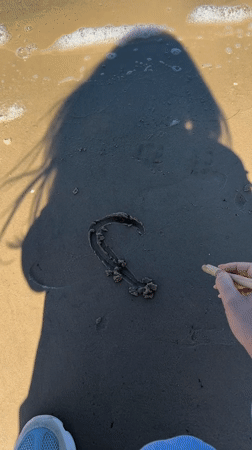 Beach visitor draws heart in sand at Jūrmala, Latvia