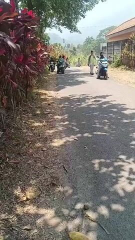 A group of people on motorcycles are riding down a paved road lined with vegetation. The road is mostly empty, with a few scattered leaves and branches on the ground. The weather appears to be sunny, with shadows cast on the road. The people on the motorcycles are mostly wearing casual clothing, and some are wearing helmets. The environment appears to be rural, with trees and houses visible in the background. There are no obvious signs of distress or conflict.