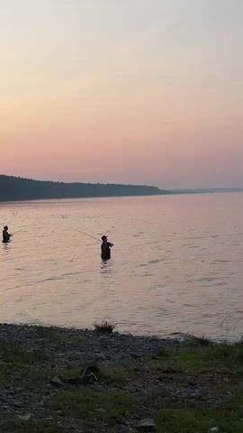 The video shows a wide shot of a serene lake at dusk. The sky is a gradient of soft pinks and oranges, fading into a pale blue at the top. A treeline is visible in the distance, silhouetted against the fading light. In the foreground, two figures stand in the shallow water, fishing. They are both holding fishing rods and appear to be casting their lines. The water is calm, with gentle ripples reflecting the colors of the sky. The shoreline in the foreground is rocky and covered with sparse green grass. A small black fishing tackle box sits on the ground near the edge of the water. The overall atmosphere is peaceful and tranquil.