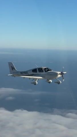 The video shows a small white airplane with the registration N219EL in flight, viewed from both outside and inside the aircraft. The exterior shots capture the plane flying over a layer of clouds under a clear blue sky. The tail of the plane features a distinctive "LA" logo. Inside the cockpit, we see the interior of another airplane's cabin, with a view through the window of the sky, clouds, and what appears to be the wing of the aircraft the camera is in. The cockpit also shows part of a seat, a yellow bag, and a seatbelt. The second airplane is visible through the window in a brief shot.