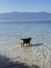 Lazy summer morning on the Kuşadası waterfront