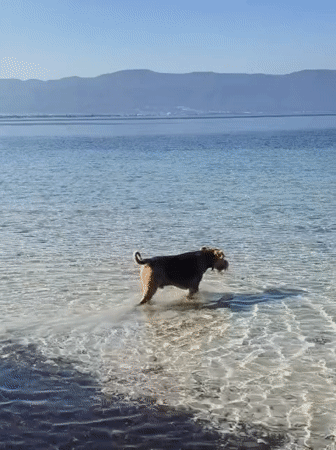 Lazy summer morning on the Kuşadası waterfront