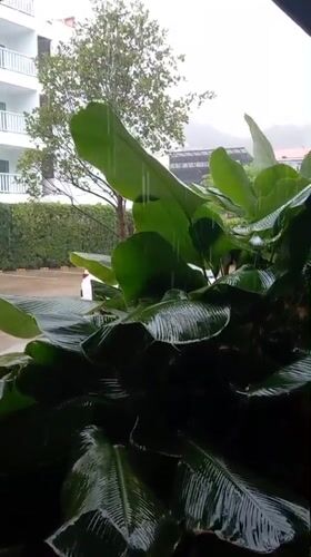 Heavy rainstorm drenches resort area in Ban Ao Nang, Thailand