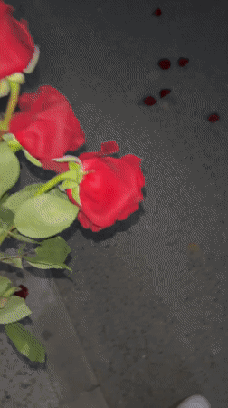 Red roses left on street in Zlatograd, Bulgaria