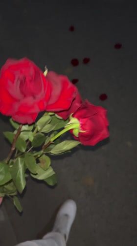 Red roses left on street in Zlatograd, Bulgaria
