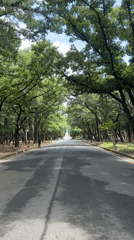 Walking a canopied road toward a distant white structure in Gyeongju