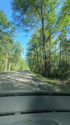 The video shows a first-person perspective of a person driving on a paved road surrounded by a dense forest. The sun is shining brightly in a clear blue sky. Tall, leafy green trees line both sides of the road, creating a tunnel effect. The road appears to be mostly empty, with a few distant vehicles visible. The dashboard of the car is visible in the foreground. The overall impression is of a scenic drive through a lush, green woodland on a sunny day.