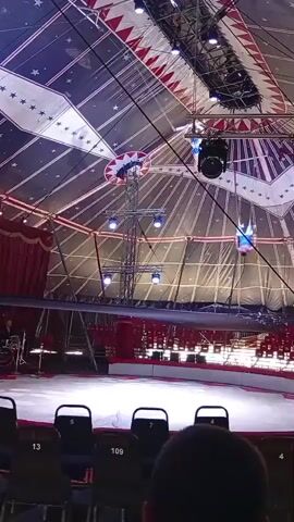 This video captures a circus performance in Langenthal, Switzerland. The scene is set within a large tent with a distinctive ceiling adorned with red and white triangles and blue panels featuring white stars. The overall aesthetic suggests a classic circus atmosphere.

The primary activity is an aerial acrobatics performance. A performer, dressed in a blue costume, is seen executing a dynamic maneuver high above the circus ring. They appear to be swinging or tumbling from a trapeze or a similar aerial apparatus suspended from the tent's structure. The performer's body is captured mid-air, showcasing athleticism and skill.

Beneath the aerial act, the circus ring is visible, a circular performance space with a white floor bordered by red. In the background, a band can be seen on a raised platform to the left, suggesting live musical accompaniment for the show. Rows of empty seats are in the foreground, indicating that the performance is likely underway or about to begin, with the audience seated and observing. Some seat numbers are visible: 11, 13, 5, 109, and 7.

The lighting appears to be artificial, typical for an indoor performance, with spotlights illuminating the aerialist and the ring. The mood conveyed is one of excitement and anticipation, common to circus events. The time of day is not explicitly indicated but is likely evening or nighttime, given the indoor setting and artificial lighting. The presence of a stage, seating, and performance equipment firmly places the event as a formal circus show.