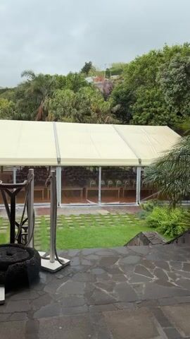The video shows a large white tent with clear plastic sides, set up outdoors. Inside the tent are numerous wooden tables, each set with plates and wine glasses. The camera zooms in to focus on a small, dark-colored kitten sitting on one of the tables. The kitten is visible through the plastic side of the tent. The environment outside the tent includes green grass, brick pavers, and trees in the background.