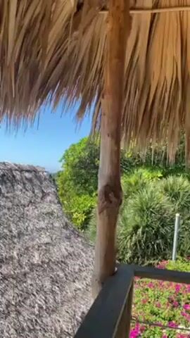 The video shows a scenic view from a thatched-roof structure overlooking a beach. The camera initially focuses on the thatch roof and then pans to reveal the ocean and sandy beach below. A few trees and other vegetation are visible along the shoreline. The water has visible waves. As the camera pans further, a building structure comes into view with a seating area and a railing overlooking the beach. People are walking and surfing on the beach. The sky is clear and blue, suggesting a sunny day. Mountains and more vegetation can be seen in the distance.