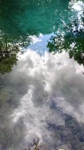 This media file captures a serene natural scene, likely a tranquil lake or pond. The dominant subject is the water itself, which is remarkably clear and exhibits a vibrant turquoise hue in certain areas, suggesting a spring or a particularly pure body of water. The surface of the water acts as a mirror, reflecting the surrounding environment.

The reflection displays a canopy of lush green trees overhead, their branches creating intricate patterns against the sky. Also reflected are billowy white clouds scattered across a bright blue sky, indicating fair weather and likely daytime. A subtle detail that adds to the visual interest is the presence of concentric ripples spreading outwards from a central point in the water, hinting at a disturbance such as a dropped pebble or a gentle breeze. The overall atmosphere is one of peace and natural beauty.

The setting appears to be a wooded area, with dense foliage on the banks of the water. In the distance, the trees continue to form a natural border. There are subtle hints of human presence, such as what might be a wooden dock or platform visible on the right side of the frame in some segments, and a small, dark structure in the far distance on the left, suggesting this location might be accessible to visitors. There is no visible text in the media file.