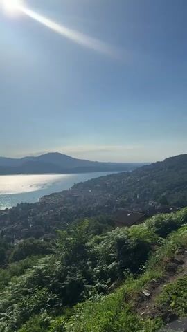The video pans across a scenic view overlooking a body of water, likely a lake, bordered by a town nestled on the coastline and framed by rolling, tree-covered hills. The sun, high in the clear blue sky, casts a strong, bright glare, creating shimmering reflections on the water's surface. In the foreground, lush green vegetation, including ferns and bushes, lines a dirt path. In the mid-ground, a dense settlement with rooftops is visible along the water's edge, with roads winding through it. Distant mountains form a hazy backdrop across the water. The scene is tranquil and bathed in natural light, suggesting a daytime setting.