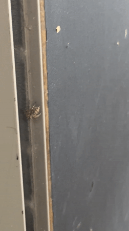 Woman documented in multiple Đà Nẵng locations during morning activities