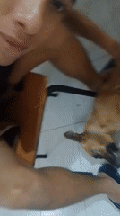 Man films casual moments with dog at Pampatar home