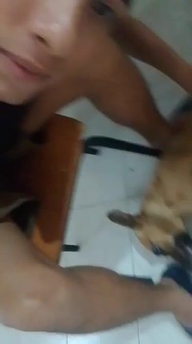 Man films casual moments with dog at Pampatar home