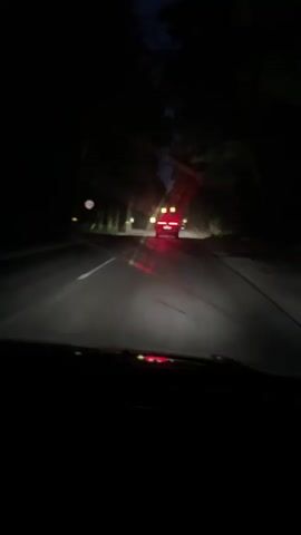 The video shows a point-of-view shot from inside a vehicle driving on a road at night. The headlights of the vehicle illuminate the road ahead. The road is paved and appears wet, reflecting the headlights and the taillights of a vehicle in front. Trees line both sides of the road, and the sky is dark. There are streetlights and pedestrian crossing signs visible along the road. The vehicle in front has red taillights illuminated. The video is from a driving perspective.