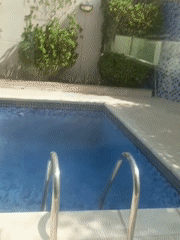 Early morning residential life documented in Dubai neighborhood