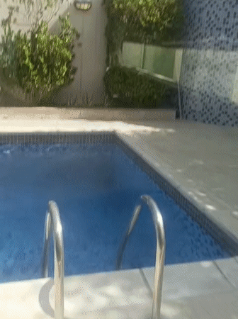 Early morning residential life documented in Dubai neighborhood