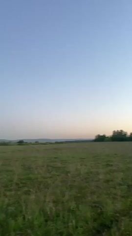 The video, captured from a moving vehicle, showcases a scenic landscape during the golden hour. The camera pans across a verdant field, bordered by a dense forest on the right. A dirt path meanders through the field, leading towards the horizon where the sun, a vibrant orange orb, casts a warm glow on the sky. The distant mountains are shrouded in a hazy blue, adding depth to the picturesque scene.