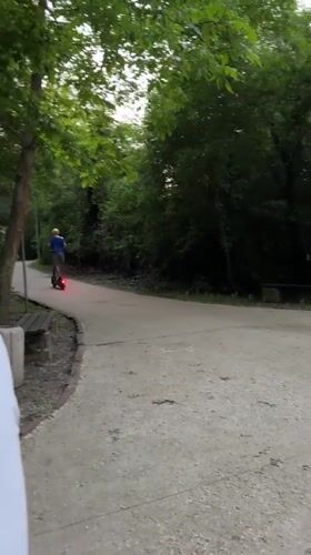 Electric scooter rider spotted on wooded path in Lovech