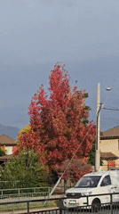 Evening autumn scenes documented across Puente Alto neighborhoods