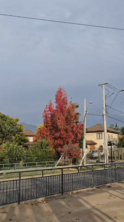 Evening autumn scenes documented across Puente Alto neighborhoods