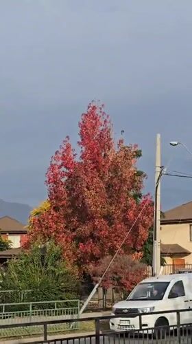 Evening autumn scenes documented across Puente Alto neighborhoods