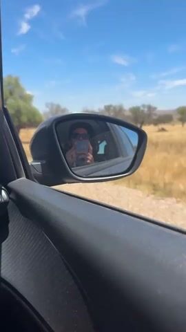 The video shows a selfie taken in a car's side mirror. The person in the mirror is wearing sunglasses and holding a phone. The background outside the car is a dry, grassy field with scattered trees and a blue sky with some clouds. The car's interior, including the door panel and the side mirror housing, is visible in the foreground. The vehicle appears to be moving, as indicated by the slight blur of the scenery and the dynamic perspective. The overall scene suggests a sunny day in a rural or semi-arid environment.