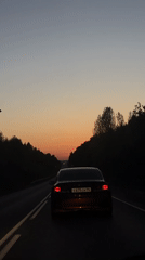 Vehicle travels tree-lined road under overpass in Chaikovsky