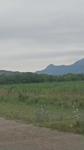 The video shows a scenic landscape from a moving vehicle. In the foreground, a dirt road is visible, transitioning to a paved road with a white line marking the lane. Beyond the road, a vast green field with tall grass and some crops stretches out. In the middle ground, a dense line of trees forms a dark green barrier. In the background, a large, lush green mountain dominates the skyline, with a tall tower on its summit and power lines descending its slopes. The sky is overcast with a layer of gray clouds. The perspective suggests the video was filmed while driving on a road that runs parallel to the mountain.