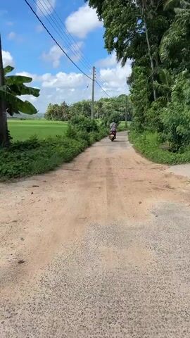 The video shows a dirt road in a rural area. A person on a scooter is riding away from the camera. To the left of the road is a bright green field, possibly a rice paddy, bordered by lush vegetation. To the right of the road, there is more dense vegetation and trees, with palm trees visible in the background. Overhead, power lines run along a utility pole. The sky is blue with scattered white clouds, suggesting it is daytime and the weather is pleasant. The road is dusty and appears to be unpaved.
