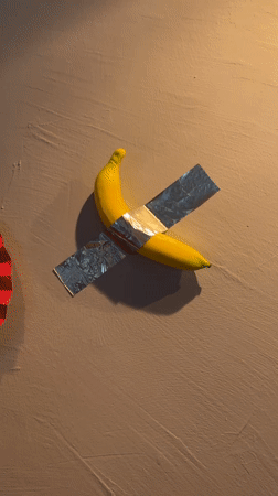 Art displays featuring banana installation documented in Milan
