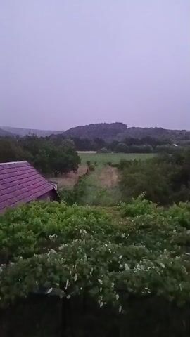 The video shows a landscape with rolling hills and trees. In the foreground, there is a building with a red roof. The sky is overcast and appears to be twilight. The overall scene is serene and natural.
