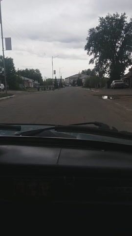 The video, filmed from inside a vehicle, captures a street scene in Бородулиха ауылдық округі, Kazakhstan. The perspective is from the passenger side, looking forward and slightly to the right, showing the dashboard, windshield, and part of the side mirror frame.

The vehicle appears to be moving along a paved road, which stretches into the distance. On either side of the road, there are various buildings, mostly single or two-story structures, interspersed with numerous trees and utility poles carrying power lines. Some parked cars are visible along the roadside. The sky is overcast with gray clouds, indicating daytime but not direct sunlight. The overall atmosphere appears quiet and settled, typical of a rural or semi-urban residential area. There is no discernible text visible on any signs or buildings. The sound of the vehicle's engine and human speech can be heard.