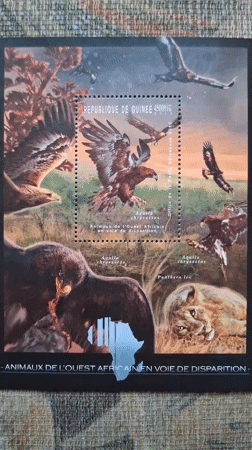 Collector documents Guinea wildlife stamp sheets in Bulgaria