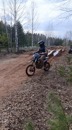 Spring ATV Adventure with Dog in Russian Countryside
