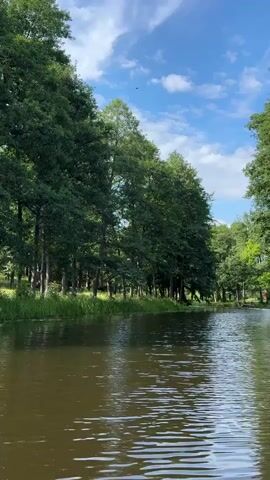 A view of a waterway, possibly a river or canal, with calm, slightly rippled water. Tall, green trees line the left bank, with dense foliage and visible tree trunks. Some reeds or tall grass grow at the water's edge on the left. The right bank is also lined with trees, though they appear slightly further away and less dense in parts, with glimpses of brighter green foliage and some lighter-colored trunks. The sky above is blue with scattered white, puffy clouds. There are no people or animals visible in the immediate scene. The overall impression is a peaceful, natural landscape on a clear day.