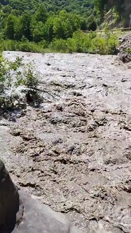 The video shows a muddy river flowing rapidly through a rocky gorge. Trees and lush green foliage line the banks of the river, and a dirt road is visible in the background. The water is turbid, indicating a significant amount of sediment. The current appears strong, with ripples and white water visible on the surface. The overall scene suggests a natural, untamed environment.