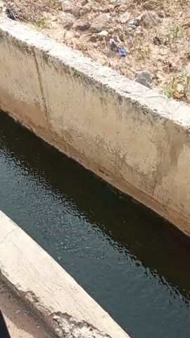 Here is a description of the video:

The video shows a person sitting on a motorbike on a paved road. The person is looking down at a narrow, concrete drainage canal with water flowing through it. On either side of the canal, there is dry vegetation. In the distance, buildings and cars can be seen.