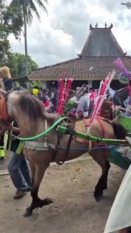 A horse-drawn cart decorated with colorful streamers and flowers moves along a dirt road. A person sits in the cart, and another person, likely a child, is dressed in a bright costume and sits on top of the cart under a large decorative umbrella. In the background, a building with a tiled roof stands, and several people are gathered around. In the foreground, a donkey is pulling a cart, also adorned with decorations. A group of people are walking alongside the procession, some on foot and others on motorcycles. Further down the road, a black pickup truck is visible, with people standing and sitting on top of it. One person on the truck is holding a microphone and appears to be speaking or singing. The sky is overcast.