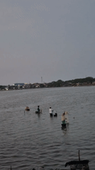 Fishing activity and road construction observed in Lhokseumawe