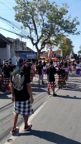 A street procession is taking place on a sunny day. People in traditional attire, primarily black shirts and plaid skirts, walk down the street. Some individuals wear decorative headdresses. A large tree with sparse foliage is visible in the background, along with buildings and power lines. The street is paved, and there are shadows on the ground, indicating the sun is high in the sky. A few motorcycles are parked or moving along the side of the street. Some onlookers appear to be present, though they are not the focus of the video.