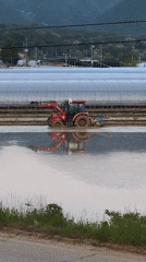 Red tractor operates in flooded rice paddy in Pyeongsan-ri