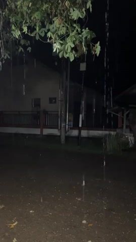 The video captures a dark, rainy night scene. In the foreground, puddles of water reflect the dim light from streetlights or house lights. Raindrops are visible falling through the air, creating streaks of light as they descend. A tree with green leaves hangs from the top left of the frame, with some leaves appearing to be dripping. In the background, a house with a fence is visible. The overall atmosphere is one of a quiet, wet night. There are no people or animals visible in the video.